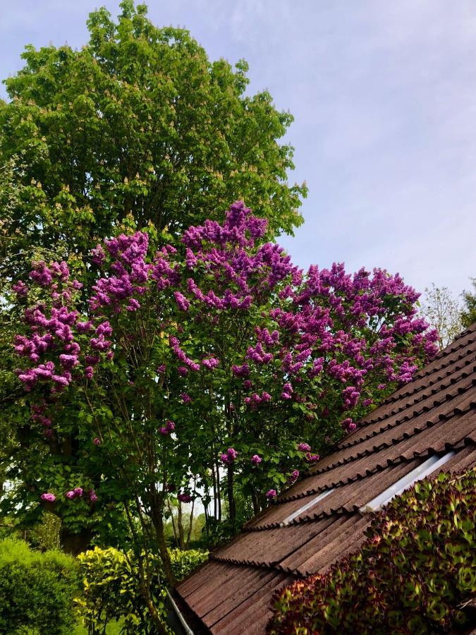 Naturparadies In Aurich Dış mekan fotoğraf